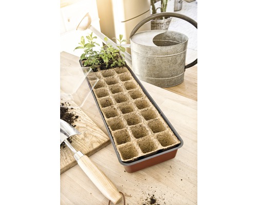 Såtråg med unga växter, vattenkanna och planteringsspade på ett bord