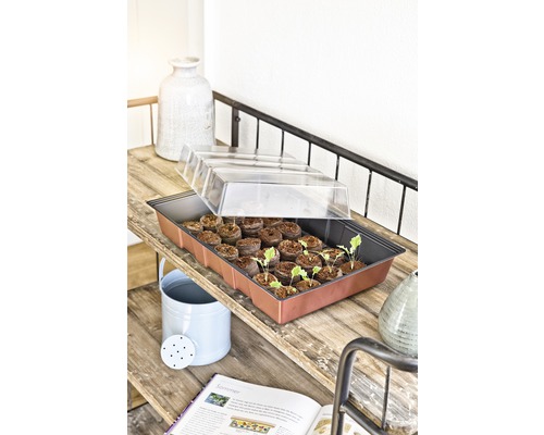 Odlingslåda med odlingskrukor och transparent lock på en hylla