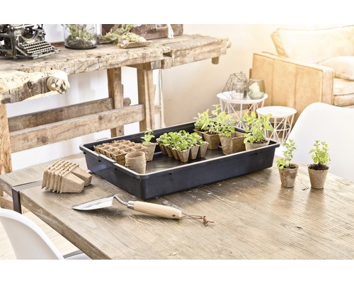 Planteringsbricka med planteringskrukor och spade på ett bord