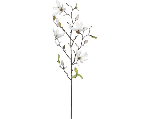 Konstväxt MICA Magnolia vit 75cm