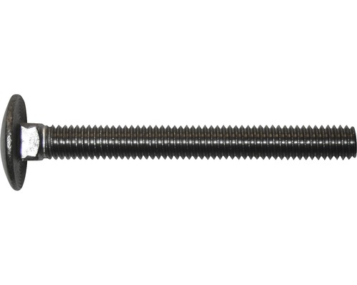 Vagnskruv med gänga