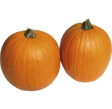 Två pumpor