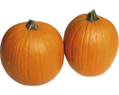 Två pumpor