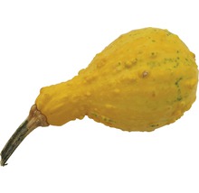 Prydnadspumpa