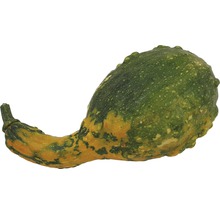 Prydnadspumpa