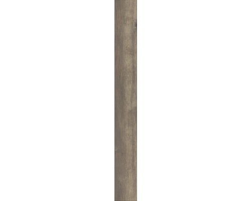 Träplatta med trästruktur