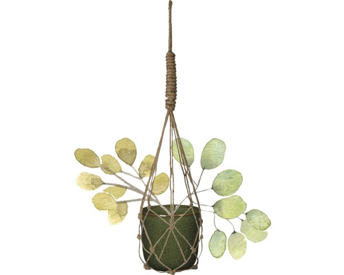 Hängande växt med gröna blad i makraméhållare