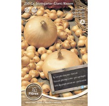 Löksats Stuttgarter Giant, 250 gram