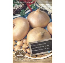 Löksätt Centurion, 75 stycken