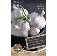 Trepack Arno vitlök för plantering