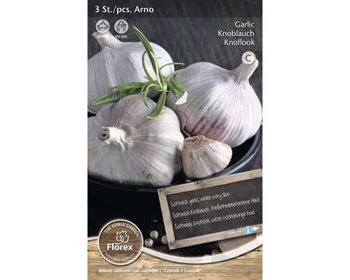 Trepack Arno vitlök för plantering