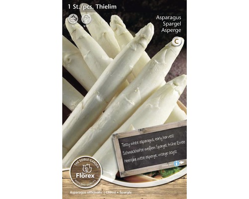 Sparrisplantor av sorten Thielim för odling av vit sparris