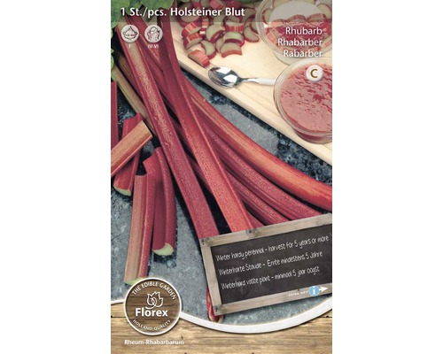Holsteiner Blut rabarberplanta i förpackning