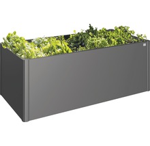Rektangulär planteringslåda planterad med sallad