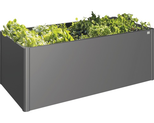 Rektangulär planteringslåda planterad med sallad