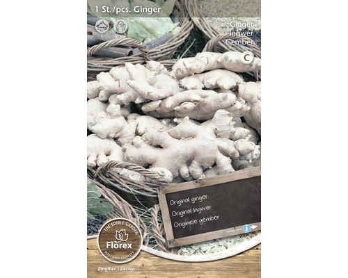 Ingefära för plantering