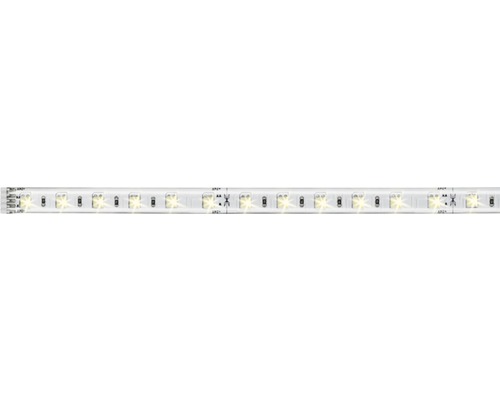 LED Stripe PAULMANN MaxLED 500 Tunable White 7W 5500lm 3000-6500K 24V 1m
