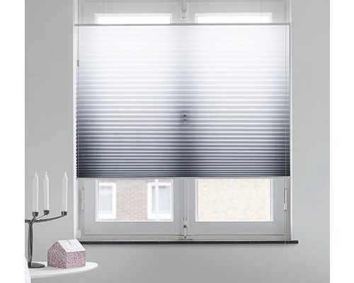 Plisségardin på fönster för ljusreglering och insynsskydd