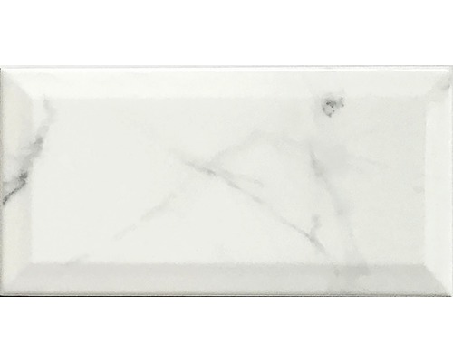 Kakel Carrara fasad kant vit blank 10x20 cm