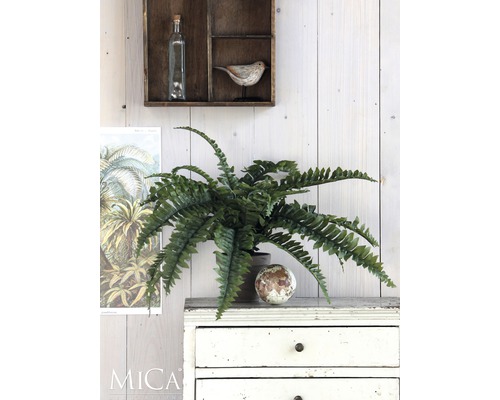 Dekorativ konstgjord växt på en byrå med lådor