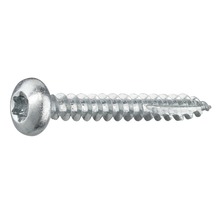 Metallskruv med Torx-drivning och linshuvud