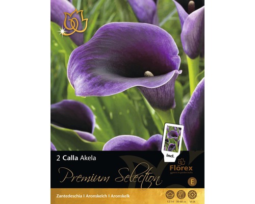 Blomsterlökar Premium Kalla Akela 2st
