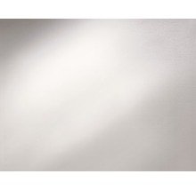 Dekorplast D-C-FIX Glas Opal 67,5x200cm