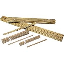 Tonkinstav bambukäpp 180cm ca Ø12/14mm natur-thumb-2