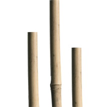 Tonkinstav bambukäpp 180cm ca Ø12/14mm natur-thumb-1