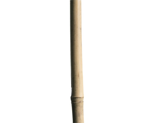 Bambustav 210cm 18/20mm natur