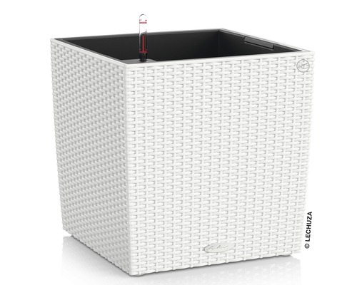 Självvattnande blomkruka LECHUZA Cube Cottage plast 30x30x30cm vit Vit, fyrkantig blomkruka med bevattningssystem och vattennivåindikator