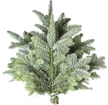 Blågran som buntvara