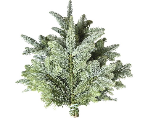 Kvistar kaskadgran snittgrönt handbunden ca 1kg Blågran som buntvara