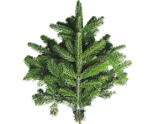 Kvistar kungsgran snittgrönt knippe stor ca 1kg Nordmannsgran utan rot för julgran