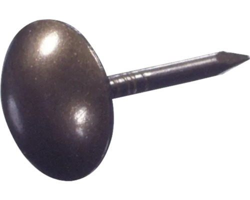 Enkel bronsfärgad spik med brett huvud