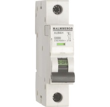 Malmbergs Automatsäkring AUB6H