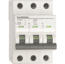 Malmbergs automatsäkring trefas