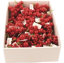 Dekorativa röda bär i en vit låda för blomsterdekorationer