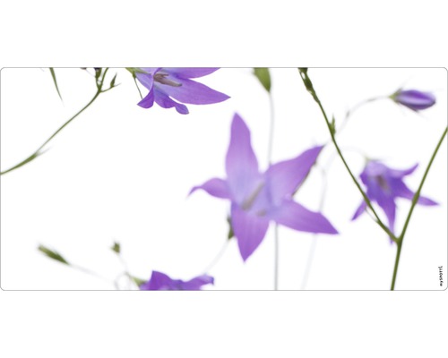Stänkskydd till badrum MYSPOTTI Aqua vit lila 900 x 450 mm Floral Blåklockor mot ljus bakgrund