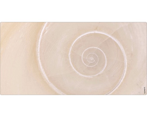 Stänkskydd till badrum MYSPOTTI Aqua beige 900 x 450 mm Djur Närbild av en spiralformad snäckskalsstruktur