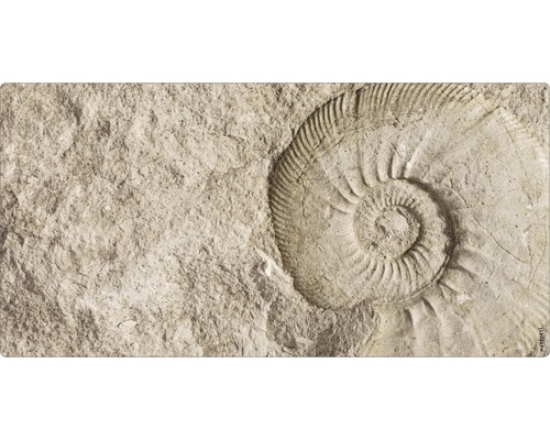 Stänkskydd till badrum MYSPOTTI Aqua beige 900 x 450 mm Fossilavtryck i sten