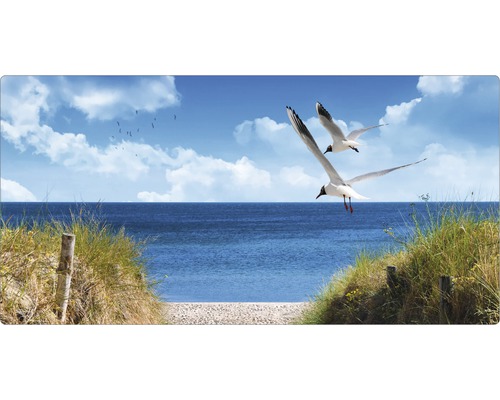 Stänkskydd till badrum MYSPOTTI Aqua grön 900 x 450 mm Dekorativ panel med strandmotiv, måsar och hav