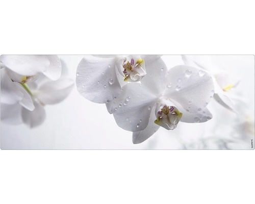 Stänkskydd till badrum MYSPOTTI Aqua vit 1200 x 450 mm Floral Närbild av vita orkidéblommor med vattendroppar