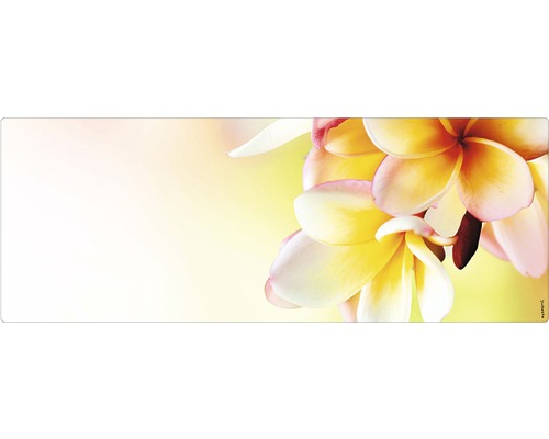 Stänkskydd till badrum MYSPOTTI Aqua gul 1200 x 450 mm Dekorativt motiv med blommor för olika applikationer