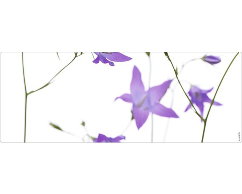 Stänkskydd till badrum MYSPOTTI Aqua vit lila 1200 x 450 mm Floral