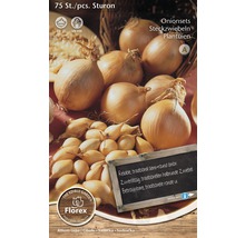 Setzlök Sturon, 75 stycken