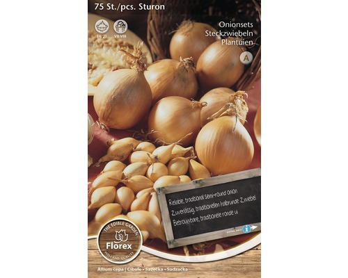 Setzlök Sturon, 75 stycken