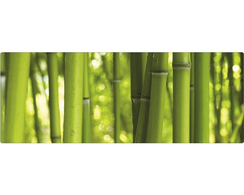 Stänkskydd till badrum MYSPOTTI Aqua grön 1200 x 450 mm Bambu