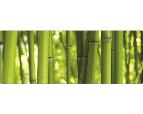 Stänkskydd till badrum MYSPOTTI Aqua grön 1200 x 450 mm Bambu Bambuskog i detalj