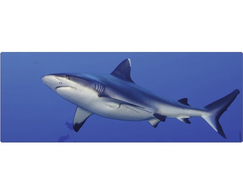 Stänkskydd till badrum MYSPOTTI Aqua blå 1200 x 450 mm Djur En haj simmar i havet.